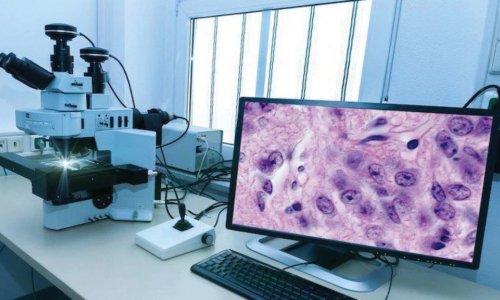 The College of Engineering discusses the “Digital Pathology”